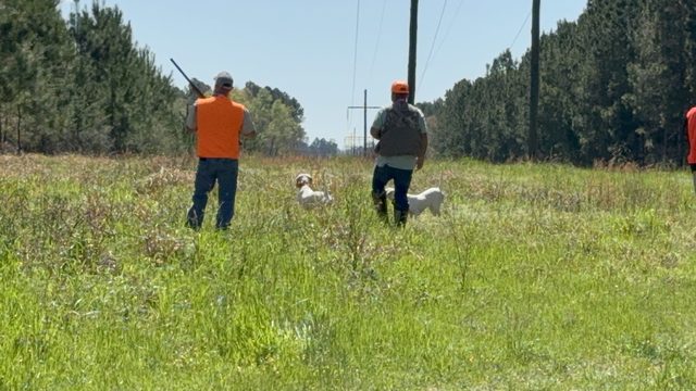 Orange vests easing into the grass.