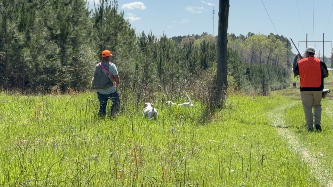 Easing in behind the pointer.
