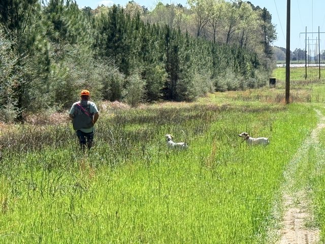 Walking in alone on a find.