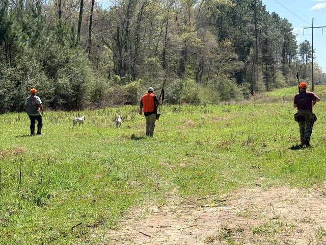 Calling the dog back in across the field.