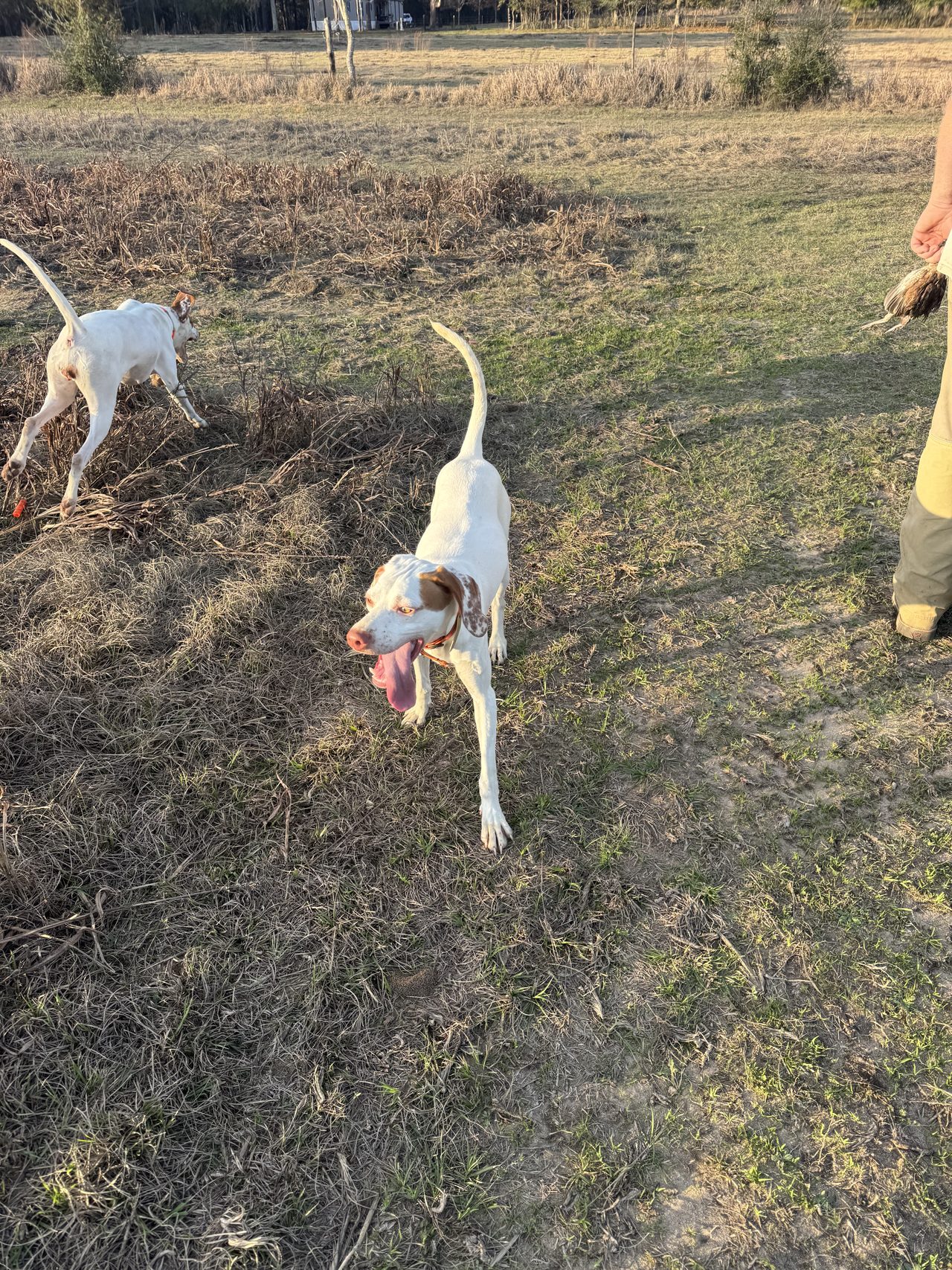 Pointers wound up at the end of a find.