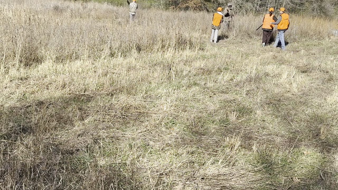 Opening a dormant-season field.