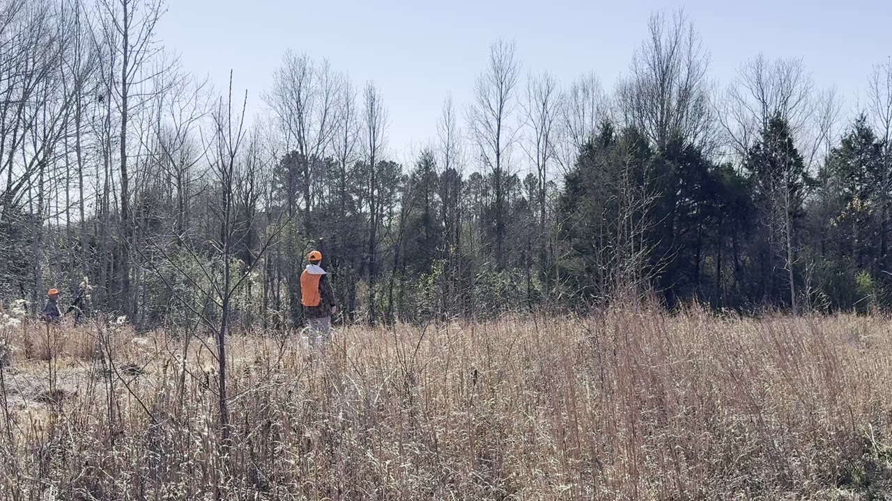 Two guns working winter cover.