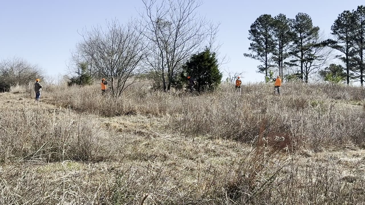 A gun closing on the pointer's find.