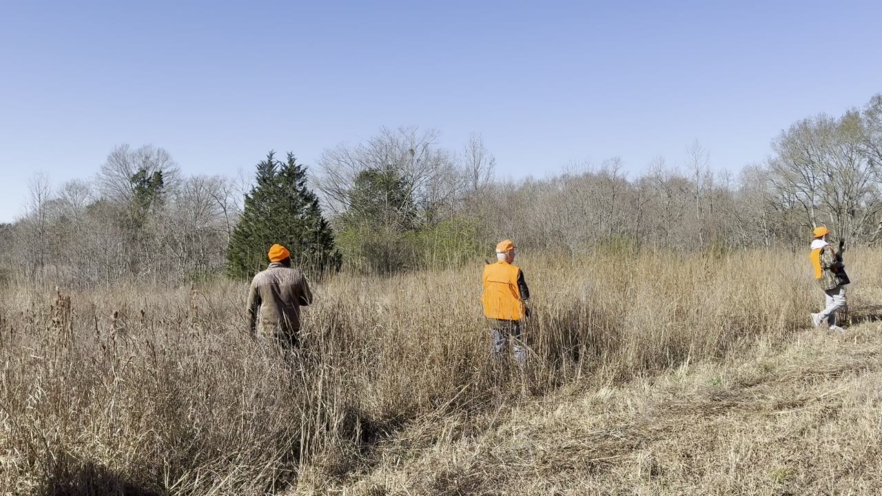 A quick find in winter cover.